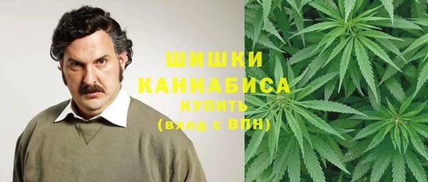 гидропоника Карталы